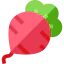 Beet icon 64x64