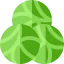 Brussel sprouts icon 64x64