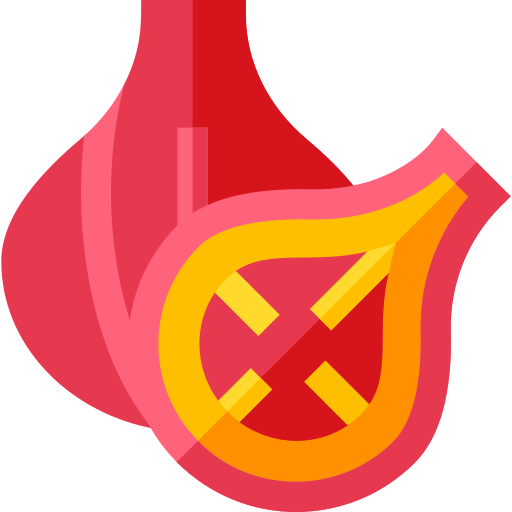 Fig icon