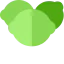 Lime icon 64x64