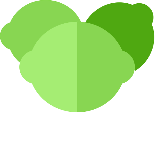 Lime icon
