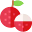 Lychee icon 64x64