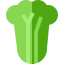 Cabbage icon 64x64