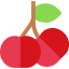 Cherry icon 64x64