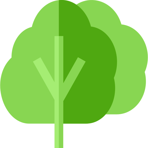 Spinach icon