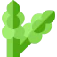 Asparagus icon 64x64
