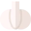 Garlic icon 64x64