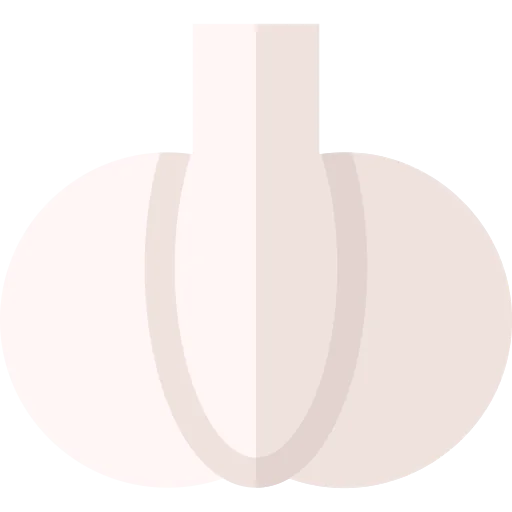 Garlic icon