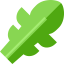 Arugula icon 64x64
