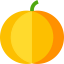 Pumpkin icon 64x64