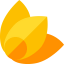 Physalis icon 64x64