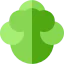 Cabbage icon 64x64