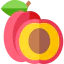 Plum icon 64x64