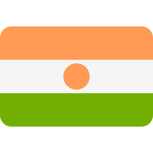 Niger icon