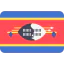 Swaziland icon 64x64