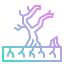 Desertification icon 64x64