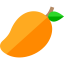 Mango icon 64x64
