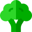 Broccoli icon 64x64