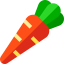 Carrot icon 64x64