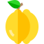 Lemon icon 64x64