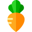 Turnip Ikona 64x64