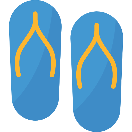 Flip flops icon