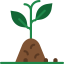 Sprout icon 64x64