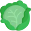 Cabbage icon 64x64