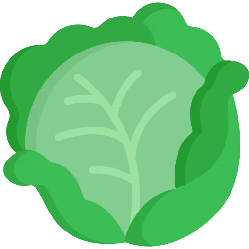 Cabbage icon