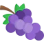 Grapes icon 64x64