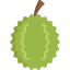 Durian icon 64x64