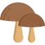 Mushroom icon 64x64