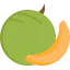 Melon icon 64x64