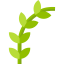 Olive icon 64x64