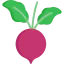 Beet icon 64x64