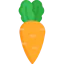 Carrot icon 64x64
