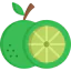 Lime icon 64x64