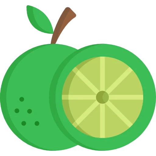 Lime icon