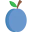 Plum icon 64x64