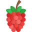 Raspberry icon 64x64