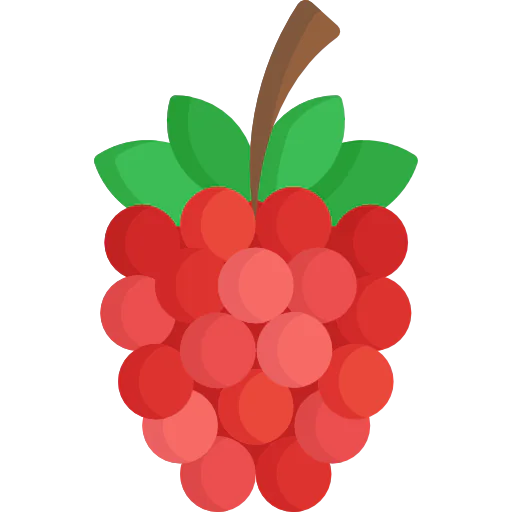Raspberry icon