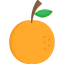 Orange icon 64x64