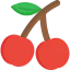 Cherry icon 64x64