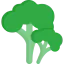Broccoli icon 64x64