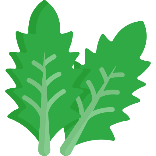 Lettuce icon