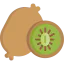 Kiwi icon 64x64