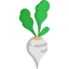 Radish icon 64x64