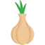 Onion icon 64x64