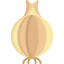 Onion icon 64x64