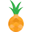 Pineapple icon 64x64
